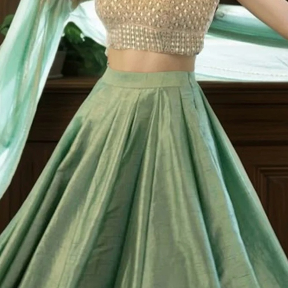 LEHENGA - Picture 3 of 11